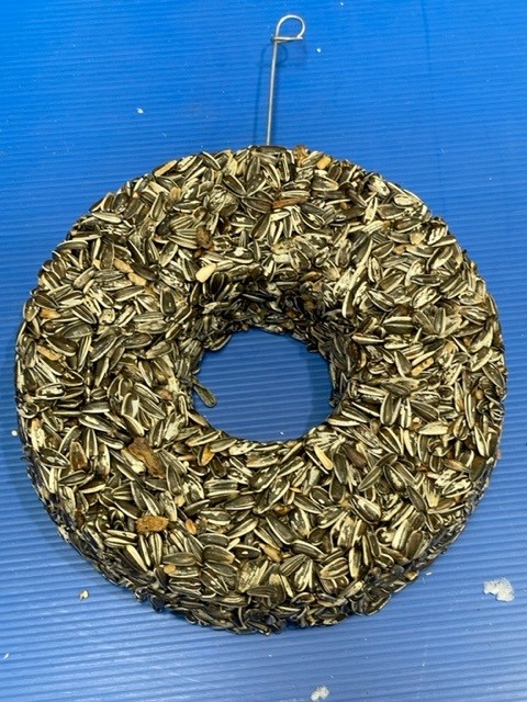 Sunflower Seed Ring - Click Image to Close